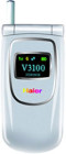 ���� V3100