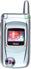 ���� T3100