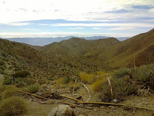 ŵ����X7���������ع�800���������콢