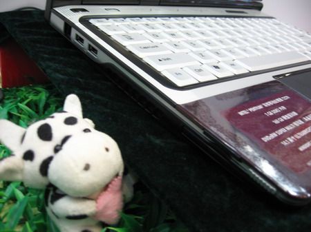 ʱ�и���Gateway�ƺ�ɫ�±�����5299