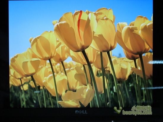 更轻薄更时尚 戴尔XPS15z笔记本评测