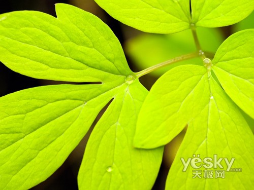 WindowsVistaϵͳ��Ȼ��ֽ����(��)
