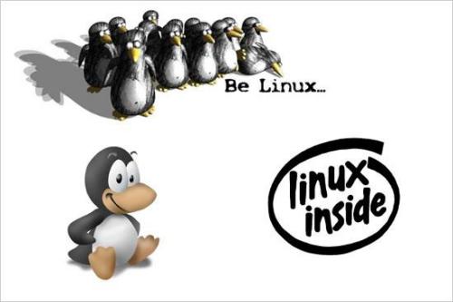 预测：Linux五年内超越WindowsMobile