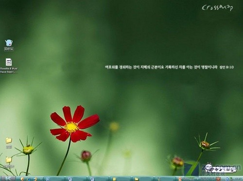 视觉饕餮盛宴!赢狗桌面美化主题包下载_软件学