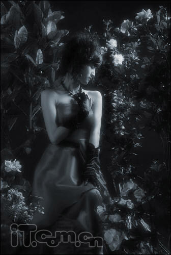 PhotoshopƷɫ̳(2)