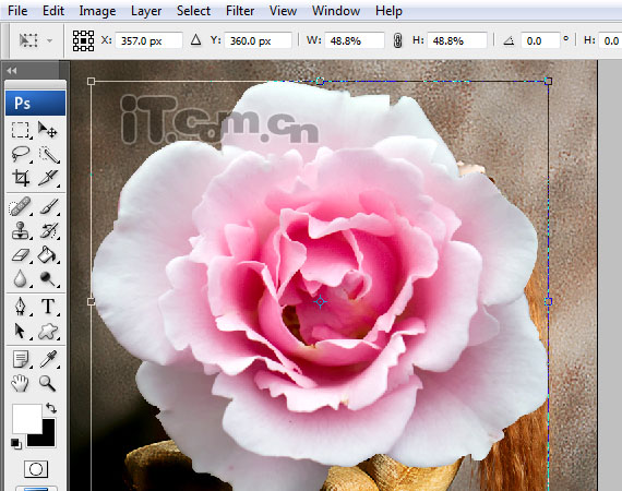 PhotoshopϳһֻԸƯ(6)