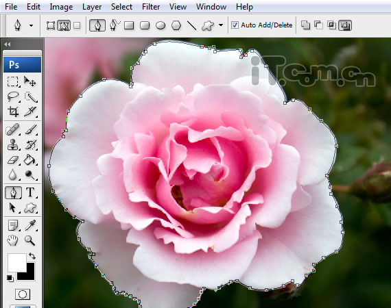 PhotoshopϳһֻԸƯ(6)