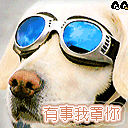 ��BT��ЦQQ����(��)