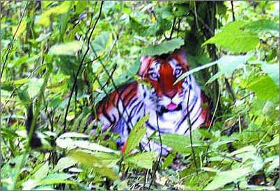 如何鉴别电脑合成照片?_软件