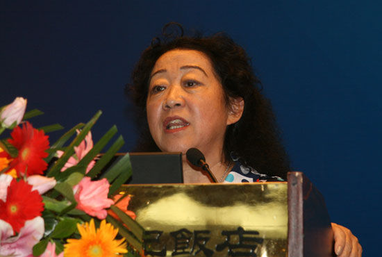 图文:中国信息产业商会执行会长张琪_通讯与电