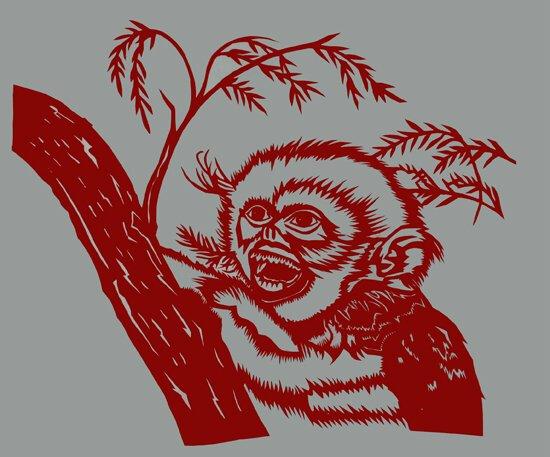 高原国宝:小滇金丝猴的故事(组图)