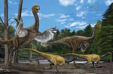 内蒙古发现当今世界上最大似鸟恐龙化石_科学