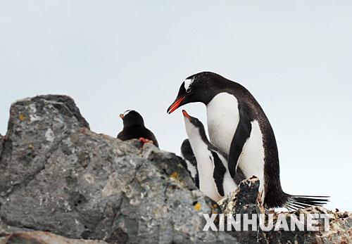 ��ͼ���ϼ�����վ�������������