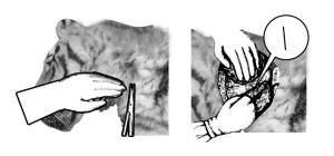 ���춯��԰ʨ���ϻ���ȡ����������֤��