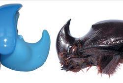 2007ʮ�������֣�����ֲ����������С��