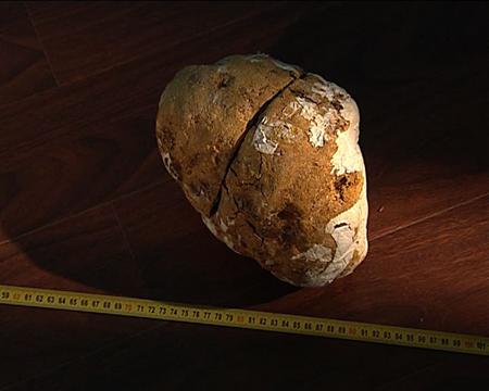 CCTV���߽���ѧ��7��28��-8��3�ս�ĿԤ��