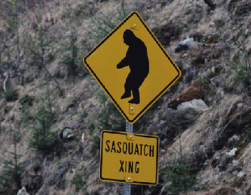 ר�������Ź�ϵ���ʮ������(��ͼ)