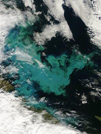 太空俯瞰地球：从火山喷发到沙尘暴(组图)