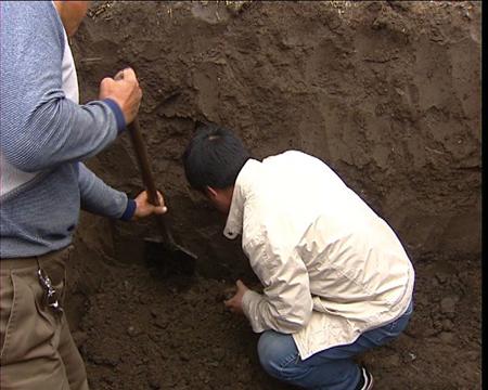 CCTV���߽���ѧ��9��30��-10��5�ս�ĿԤ��