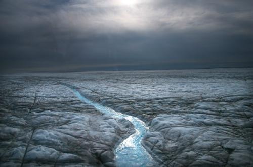新书展示地球自然奇观：独角鲸群游弋于北冰洋