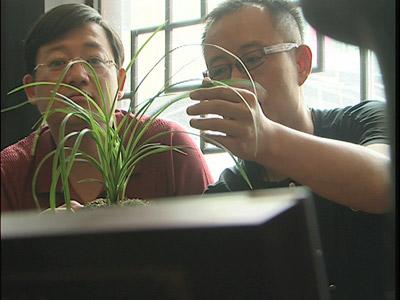 CCTV《走近科学》2月23日-3月1日节目预告