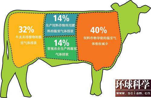 全球变暖效应:吃1千克牛肉等于开车70千米_科