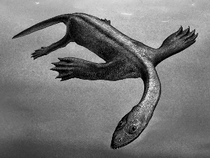 蛇颈龙亿万年前曾称霸海底:生活习性仍然是谜