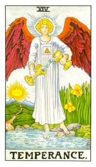 塔罗教程:塔罗符号学之节制(组图)_新浪星座_新浪网