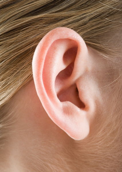 八卦命理:什么样的耳朵最有福气(图)