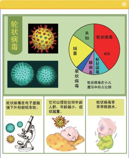 什么是轮状病毒