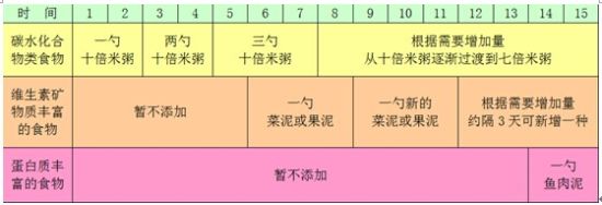 不同阶段辅食添加的方法