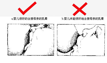 职场女性母乳喂养面临“四缺” 正确姿势要牢记_亲子茶园_华侨路茶坊