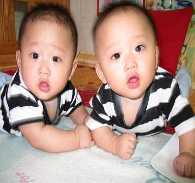 双胞胎宝宝该如何教育(图)