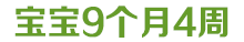 宝宝1岁10个月