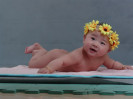 �ǹ����ڱ������74�ڣ�������(ͼ)