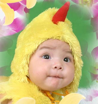 幼儿期的宝宝每日饮食指南
