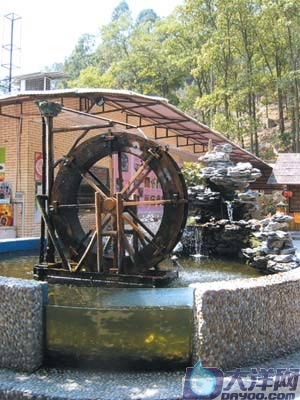 三八出游 竹香鸡香透墙来(组图)_饮食频道