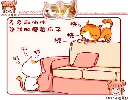 原创猫漫画爸爸的威严(组图)