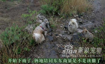 点击图片进入下一页