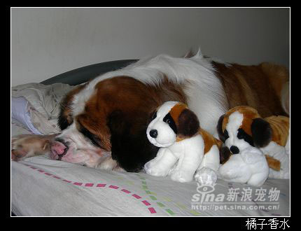 点击图片进入下一页