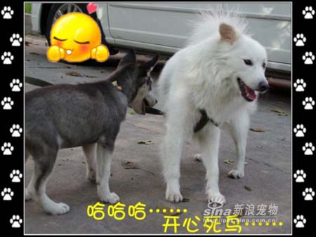 ͼƬһҳ