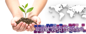 2010新浪网络盛典最具社会感企业