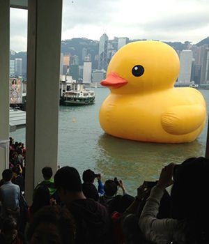 ʵ�ģ����Χ����ƤѼ��ӿ�˳�