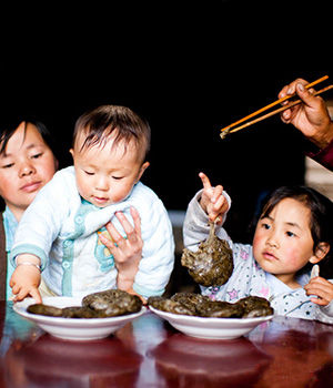 �����������ι������