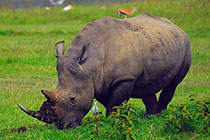 Ϭţ�������ϴ�š�