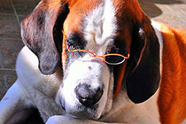 ϲ�����ֵĴ󲨱�