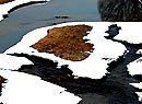 ģѩ
