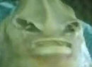 Ƭ