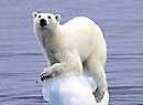 2007ѶͼƬ