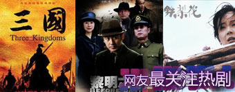 2010新浪网络盛典网友最关注热剧